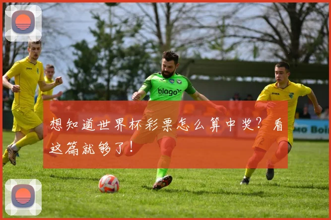 想知道世界杯彩票怎么算中奖?看这篇就够了!