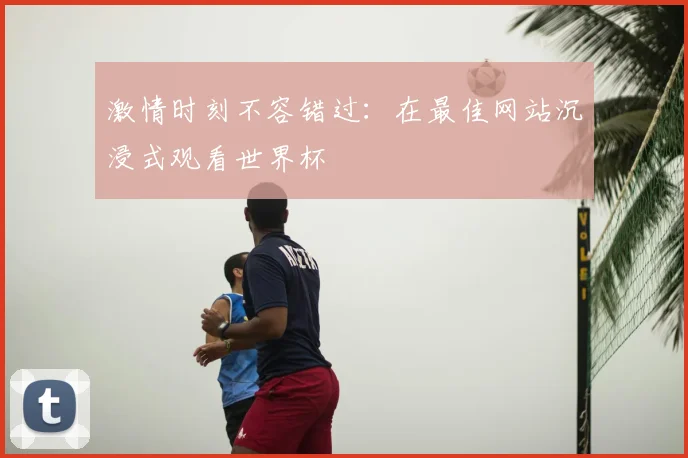 激情时刻不容错过：在最佳网站沉浸式观看世界杯