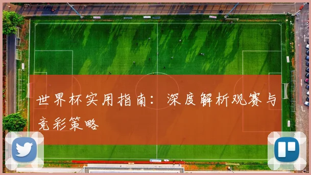 世界杯实用指南：深度解析观赛与竞彩策略