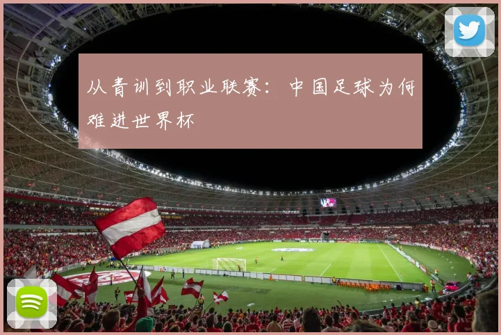 从青训到职业联赛:中国足球为何难进世界杯