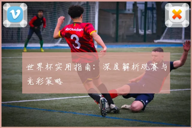 世界杯实用指南：深度解析观赛与竞彩策略