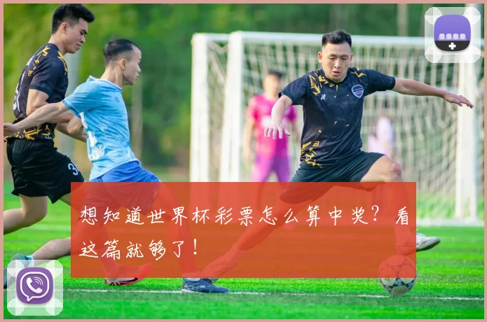 想知道世界杯彩票怎么算中奖?看这篇就够了!