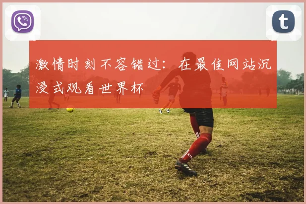 激情时刻不容错过:在最佳网站沉浸式观看世界杯