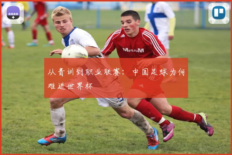 从青训到职业联赛：中国足球为何难进世界杯