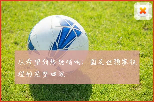从希望到终场哨响：国足世预赛征程的完整回放