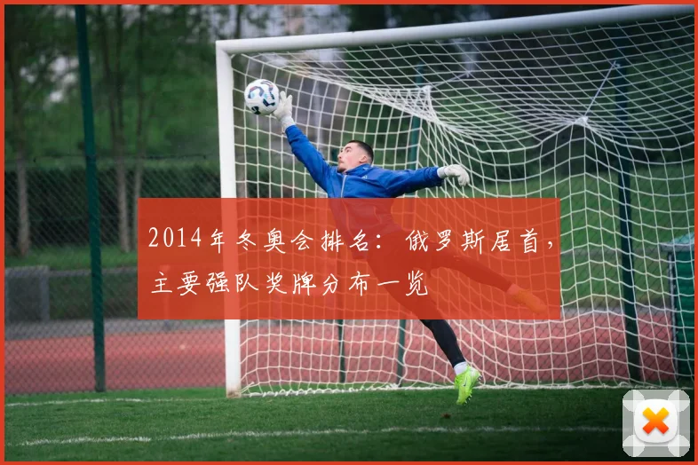 2014年冬奥会排名：俄罗斯居首，主要强队奖牌分布一览