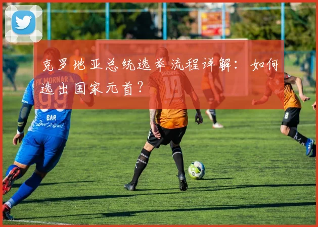 克罗地亚总统选举流程详解：如何选出国家元首？