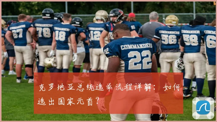 克罗地亚总统选举流程详解：如何选出国家元首？